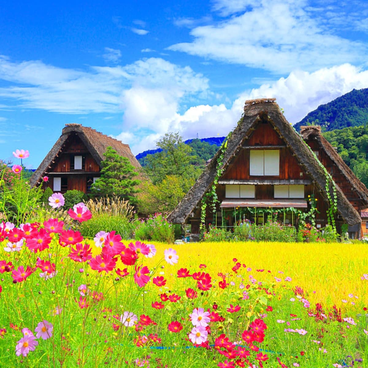 Takayama City and Shirakawa Gassho Village Full-Day Tour from Nagoya