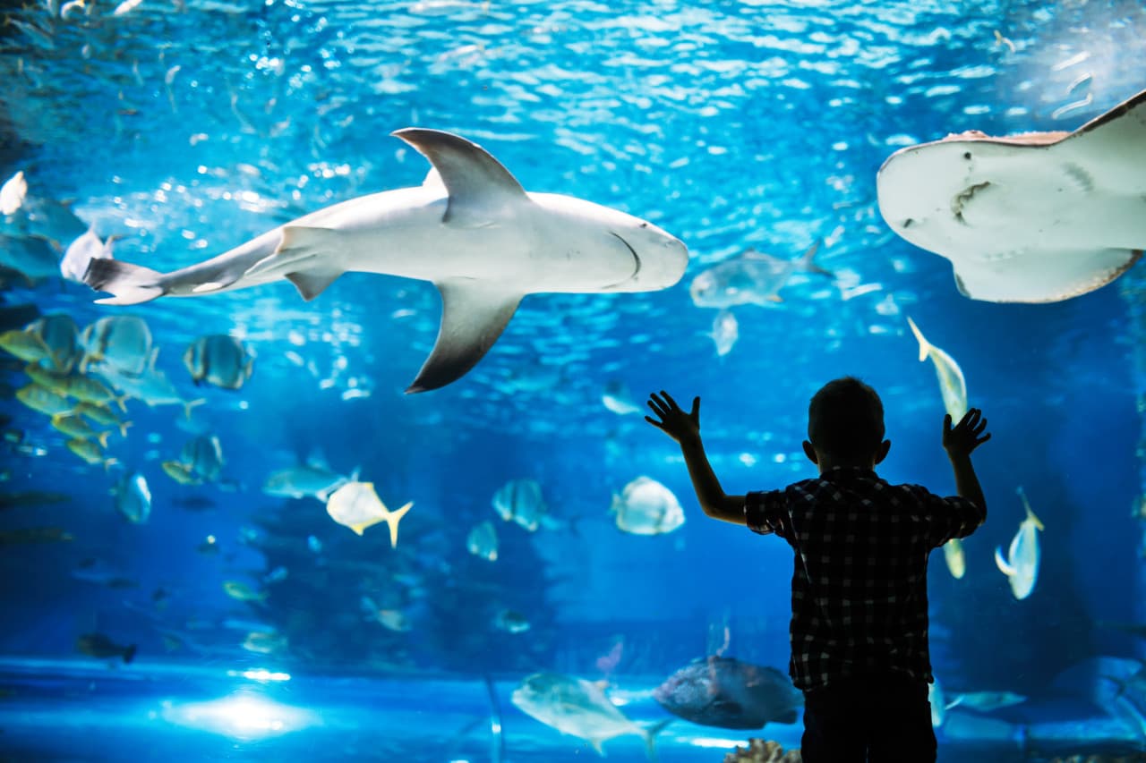 Go City Philadelphia Explorer Pass: Save up to 50% on Attractions