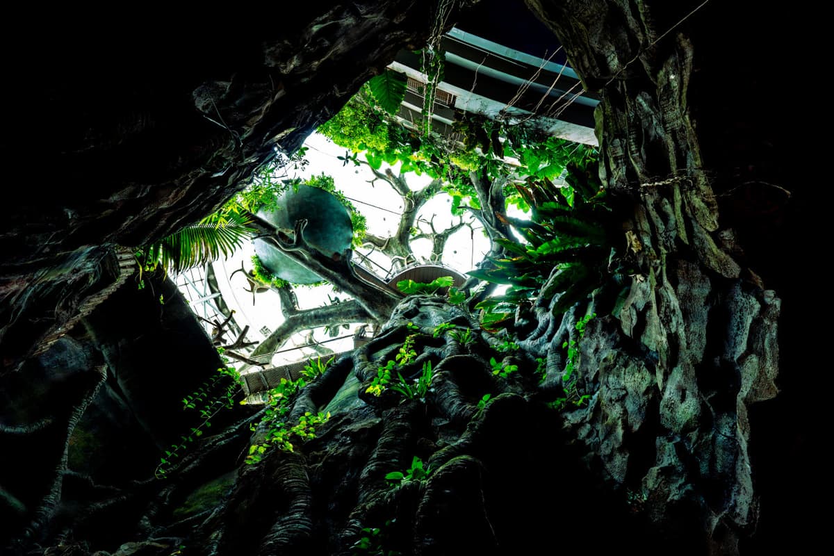 The Green Planet Dubai Ticket
