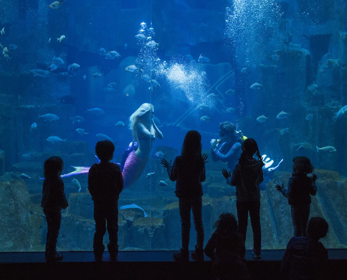 Go City Paris Explorer Pass: Save up to 50% on Attractions