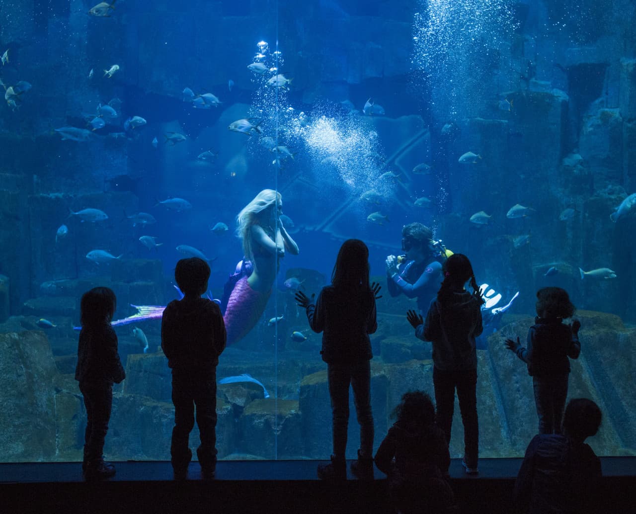 Go City Paris Explorer Pass: Save up to 50% on Attractions