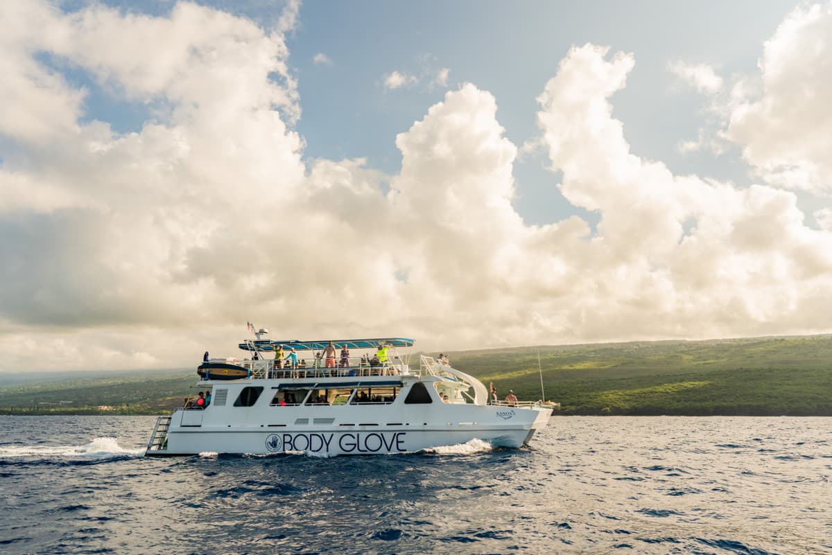 Kona Dolphin Watching Cruise with Snorkelling Experience