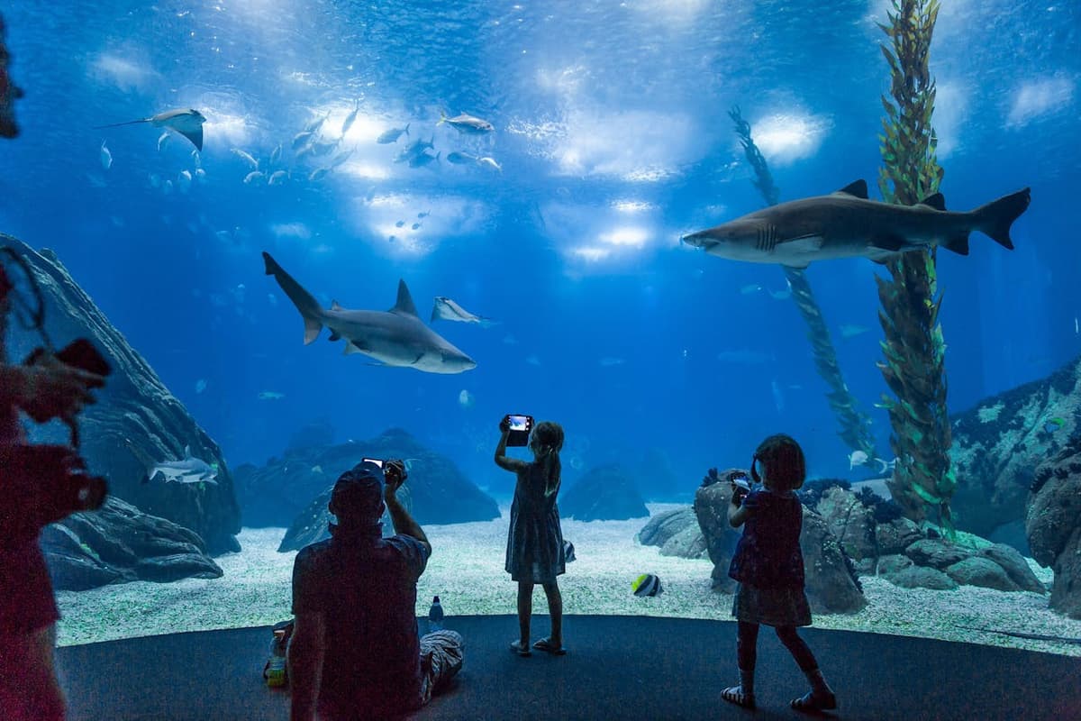 Oceanário de Lisboa Ticket