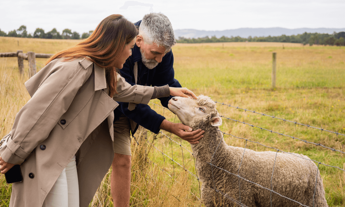 Yarra Valley Full-Day Grazing Tour from Melbourne