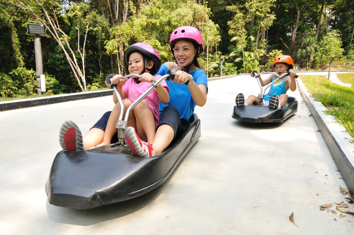 COMBO: Madame Tussauds Singapore + Skyline Luge Singapore Ticket
