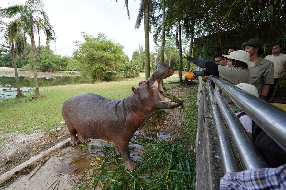 Paya Indah Discovery Wetlands Experience at Gamuda Cove
