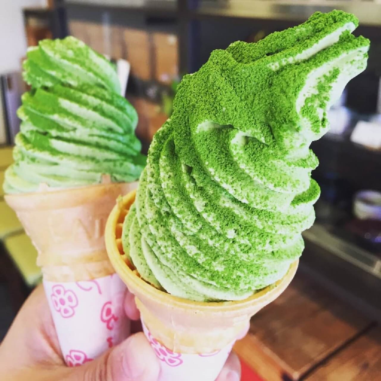 Tokyo Family Food Tour in Asakusa and Sensoji