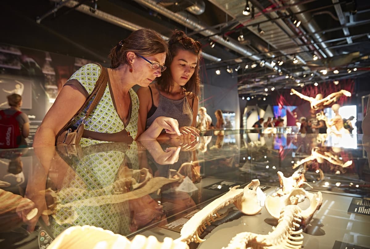 BODY WORLDS Berlin