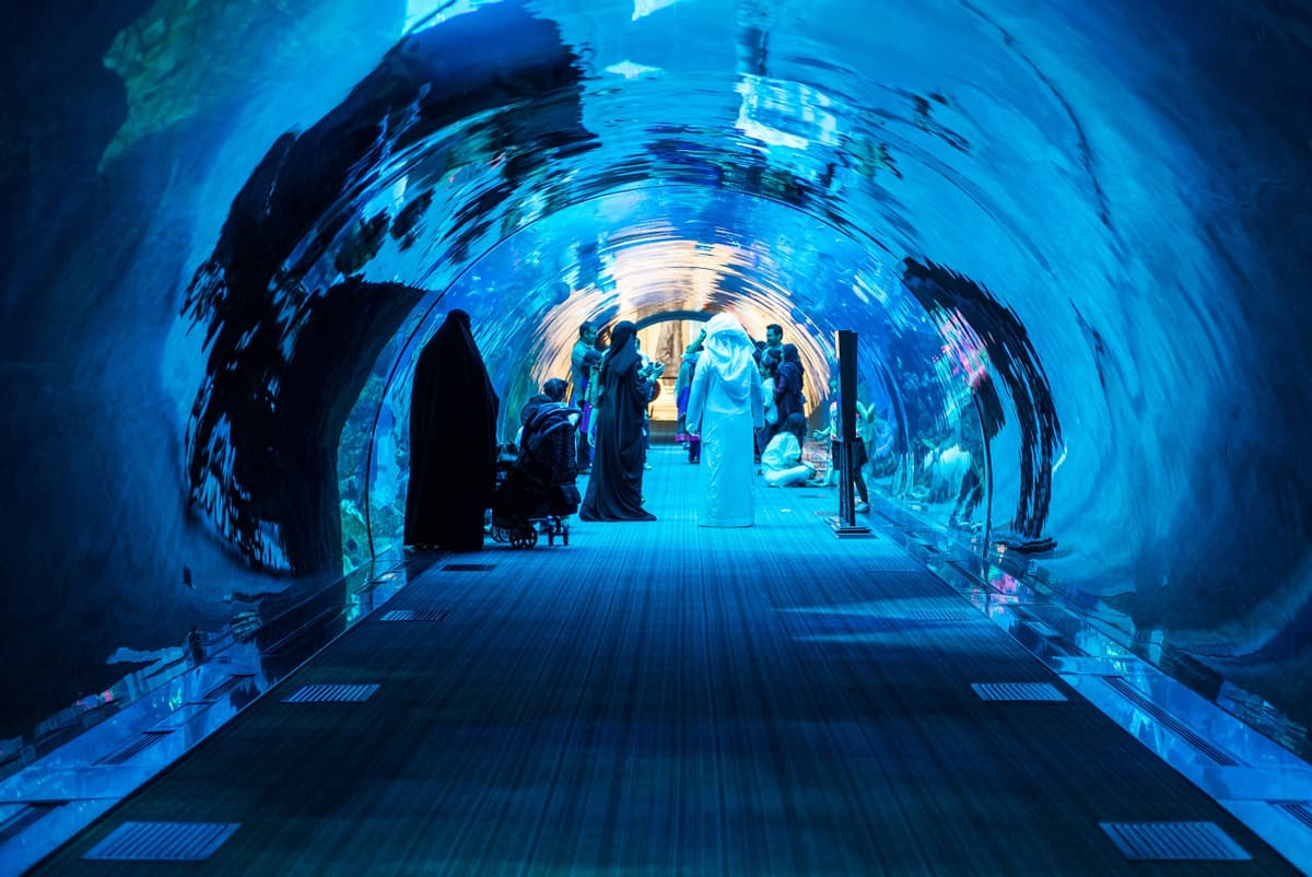 Dubai Aquarium and Underwater Zoo Ticket