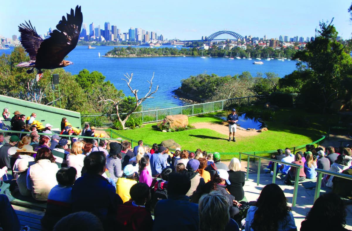 Captain Cook Sydney Harbour Explorer Hop-on Hop-off Cruise