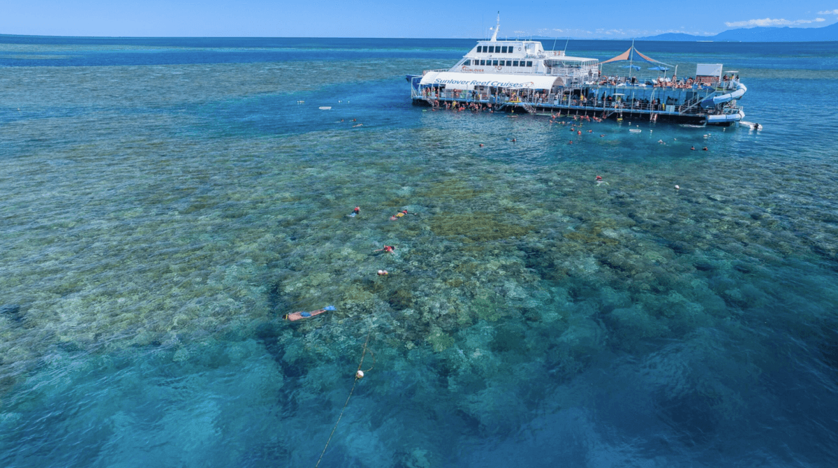Great Barrier Reef Pontoon Full-Day Tour at Moore Reef