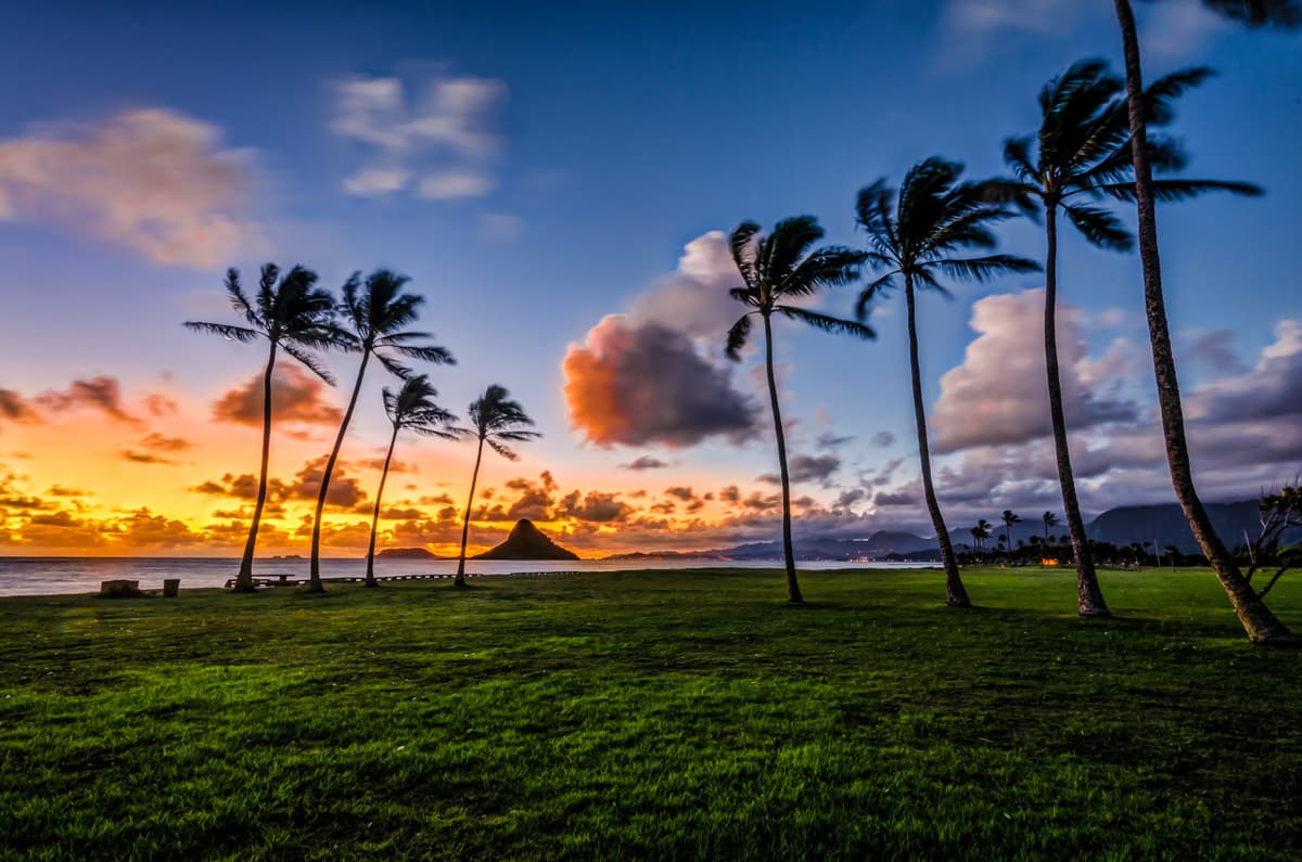 Go City Oahu All-Inclusive Pass: Save up to 50% on Attractions