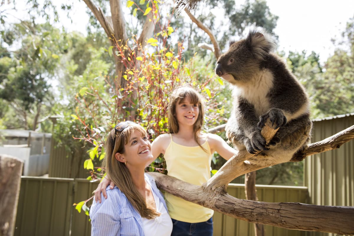 Kangaroo Island Tour from Adelaide