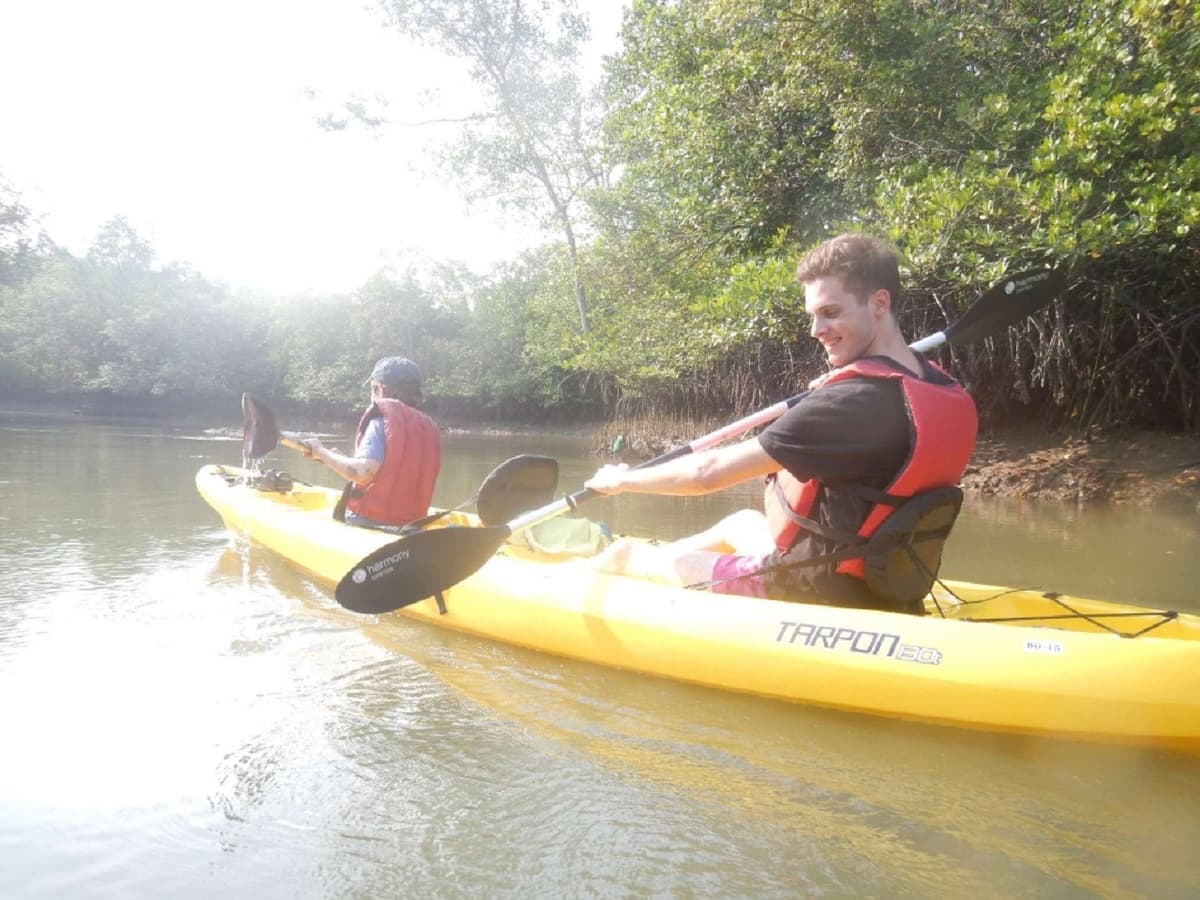 Pulau Ubin Kayaking