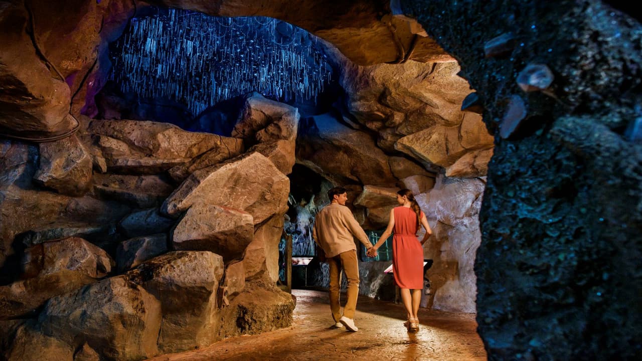 Singapore Night Safari Ticket