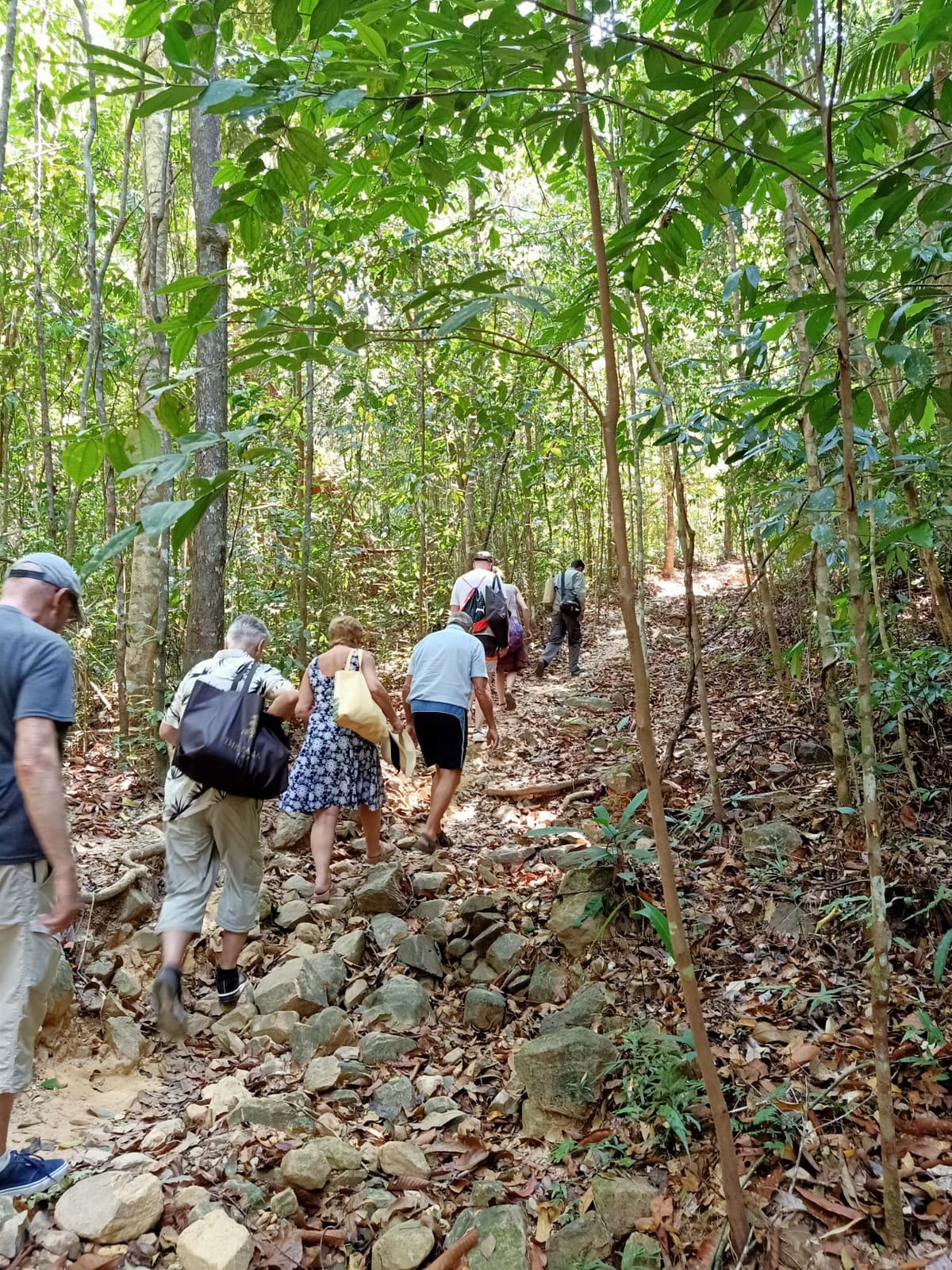 Langkawi Rainforest Trekking