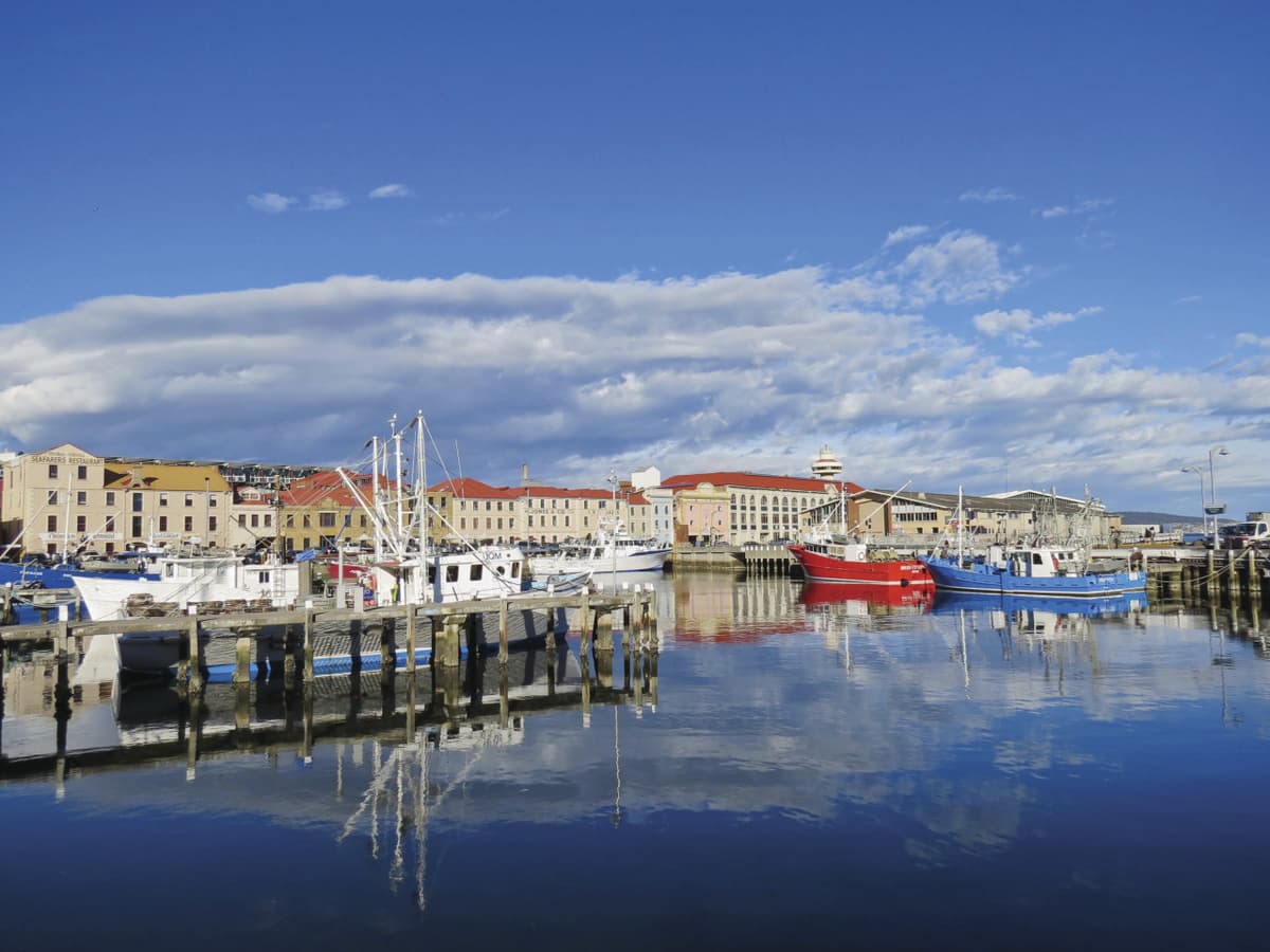Mount Wellington and Hobart City Tour