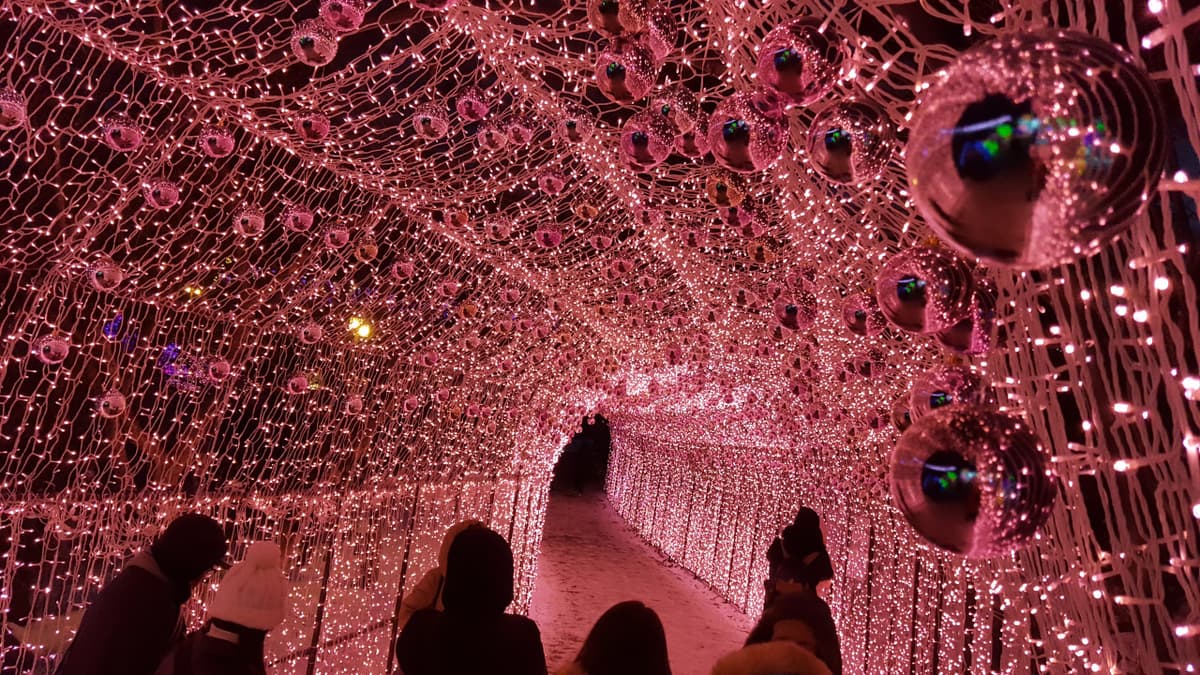 Nami Island, Mount Seorak, and Garden of Morning Calm Full-Day Tour from Seoul