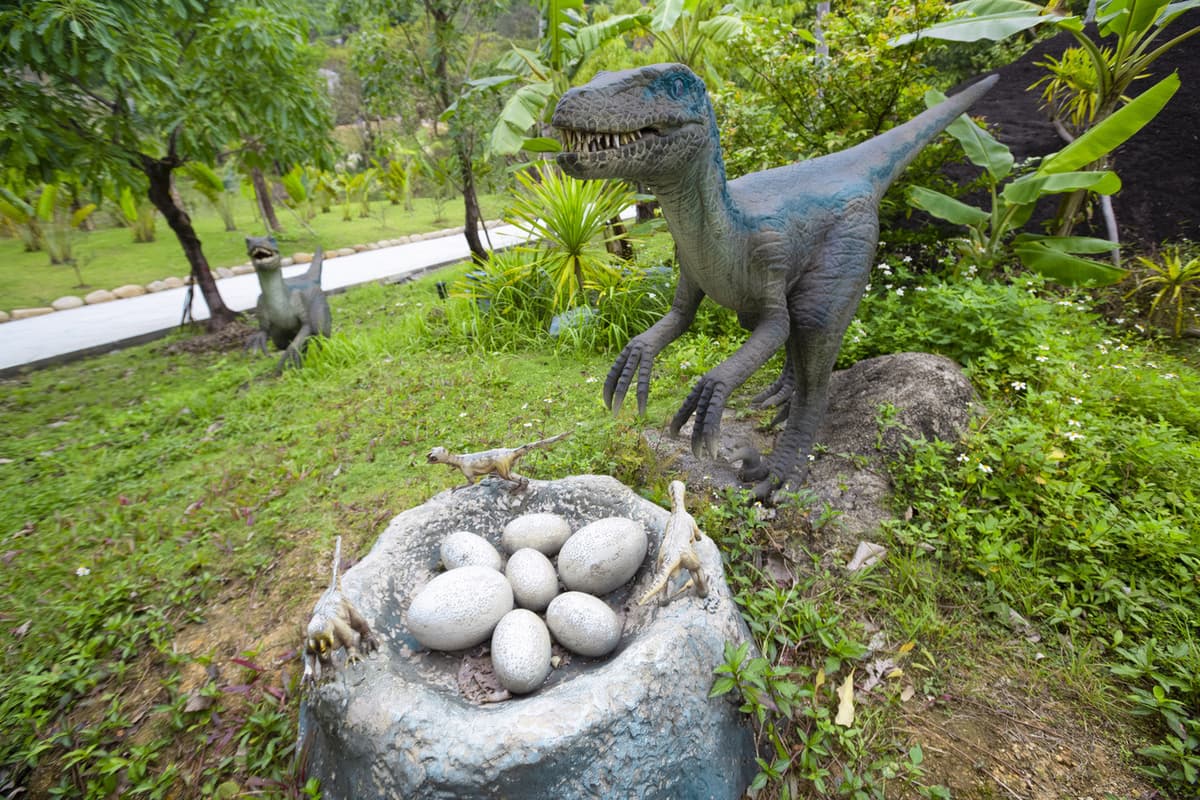 Nui Than Tai Hot Springs Park Tour
