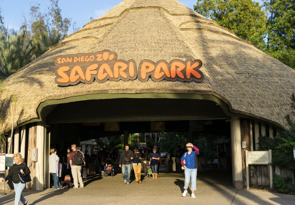 San Diego Zoo Safari Park Ticket