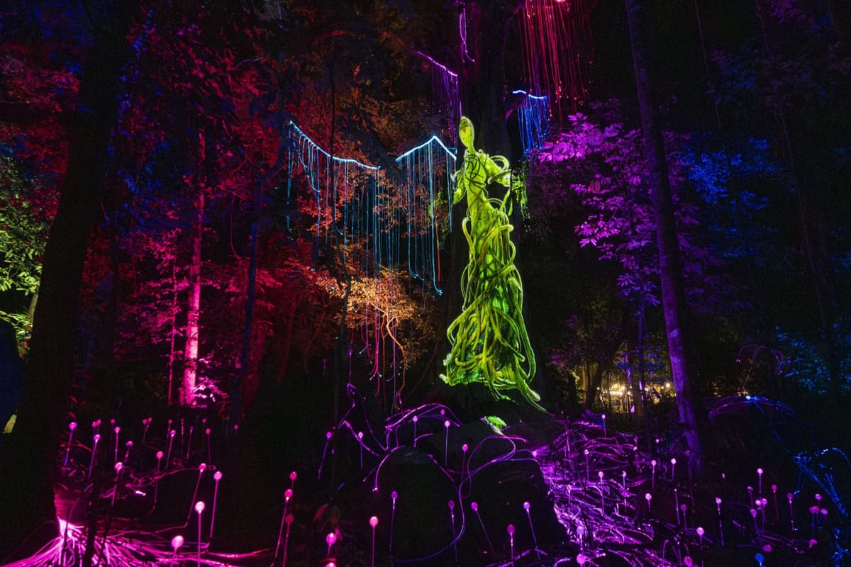Dream Forest Langkawi