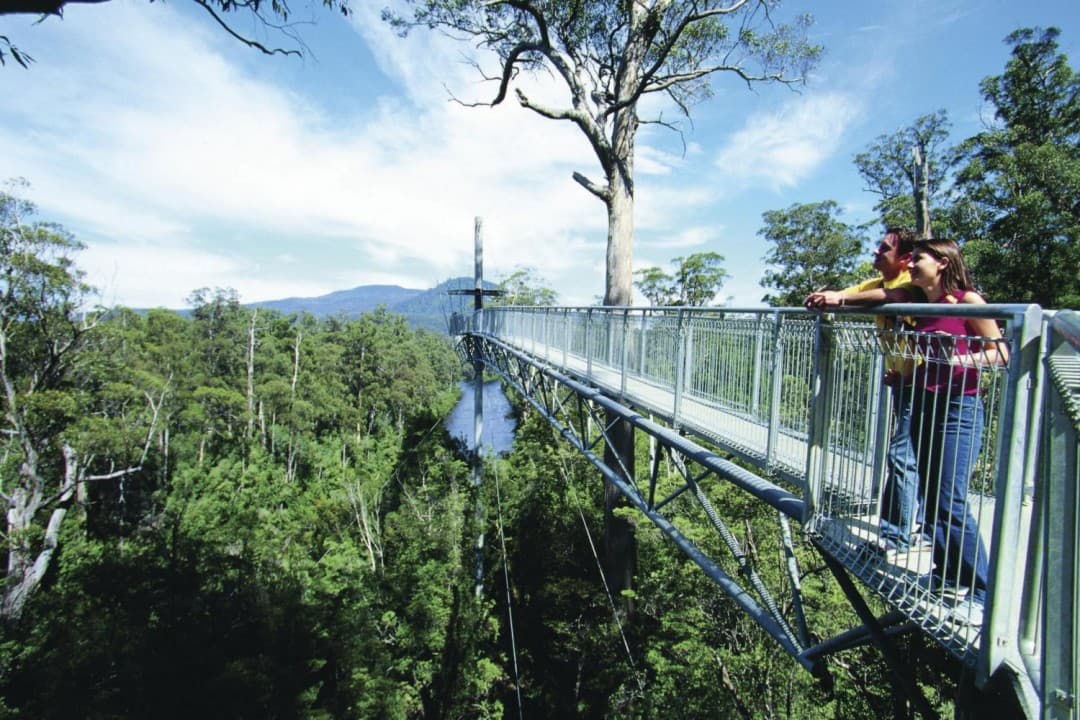 Huon Valley Tour