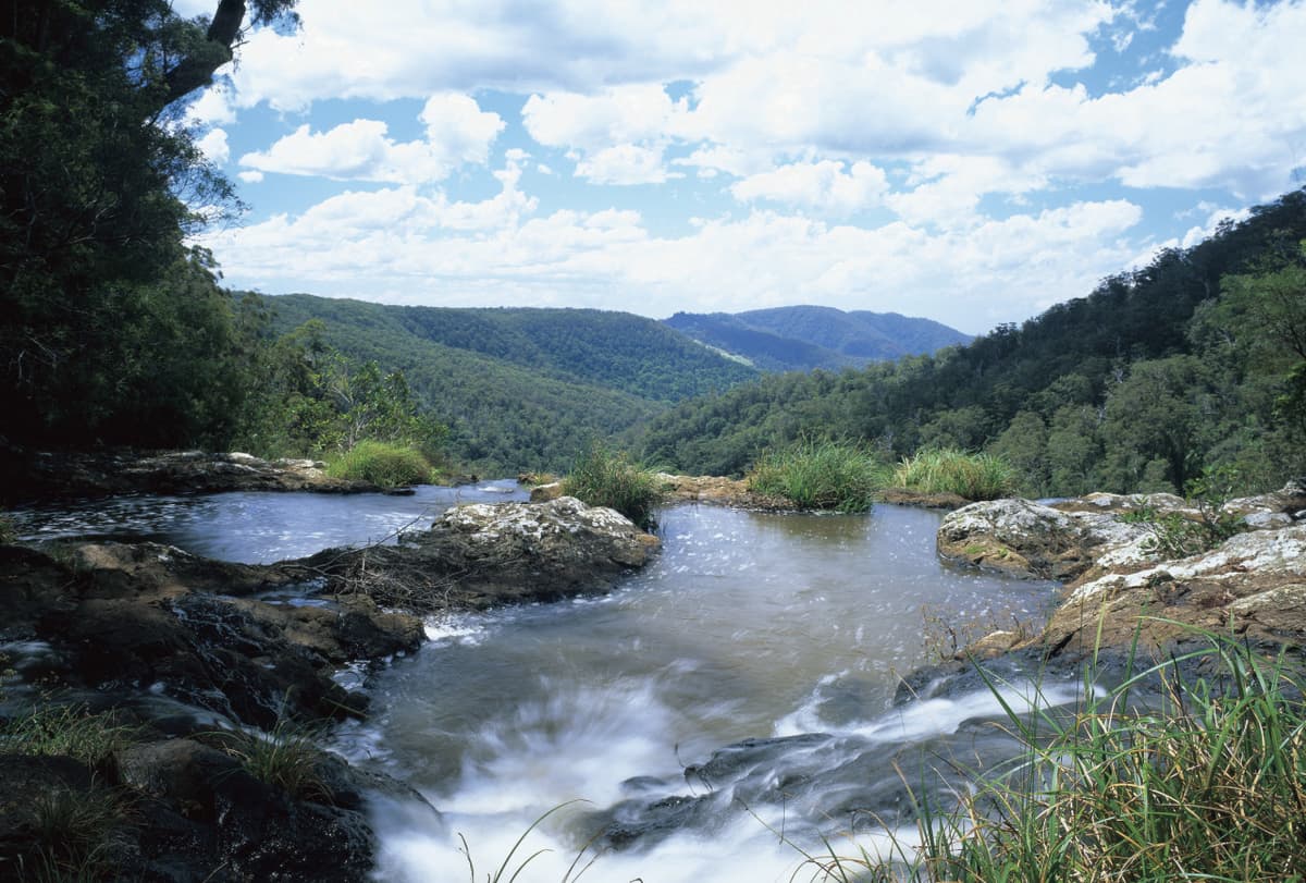 Full day Springbrook and Tamborine Rainforest Tour