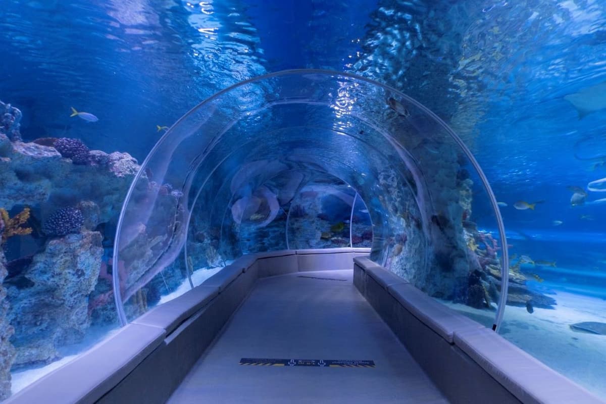 Emaar Aquarium and Underwater Zoo Ticket