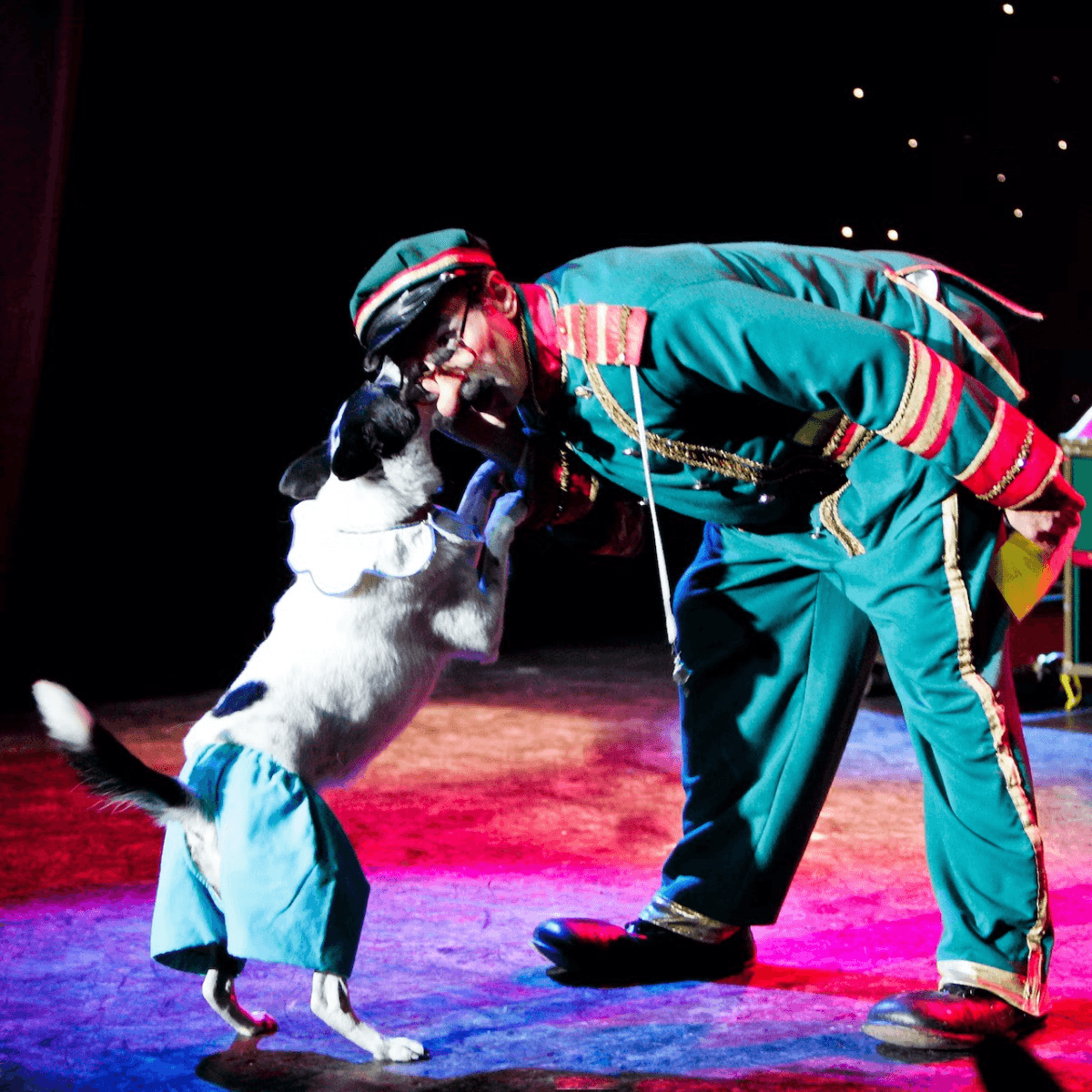 V Theatre Las Vegas - Popovich Comedy Pet Theatre