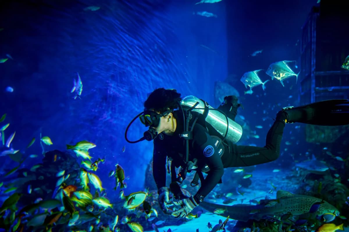Marine Safari Bali Ticket