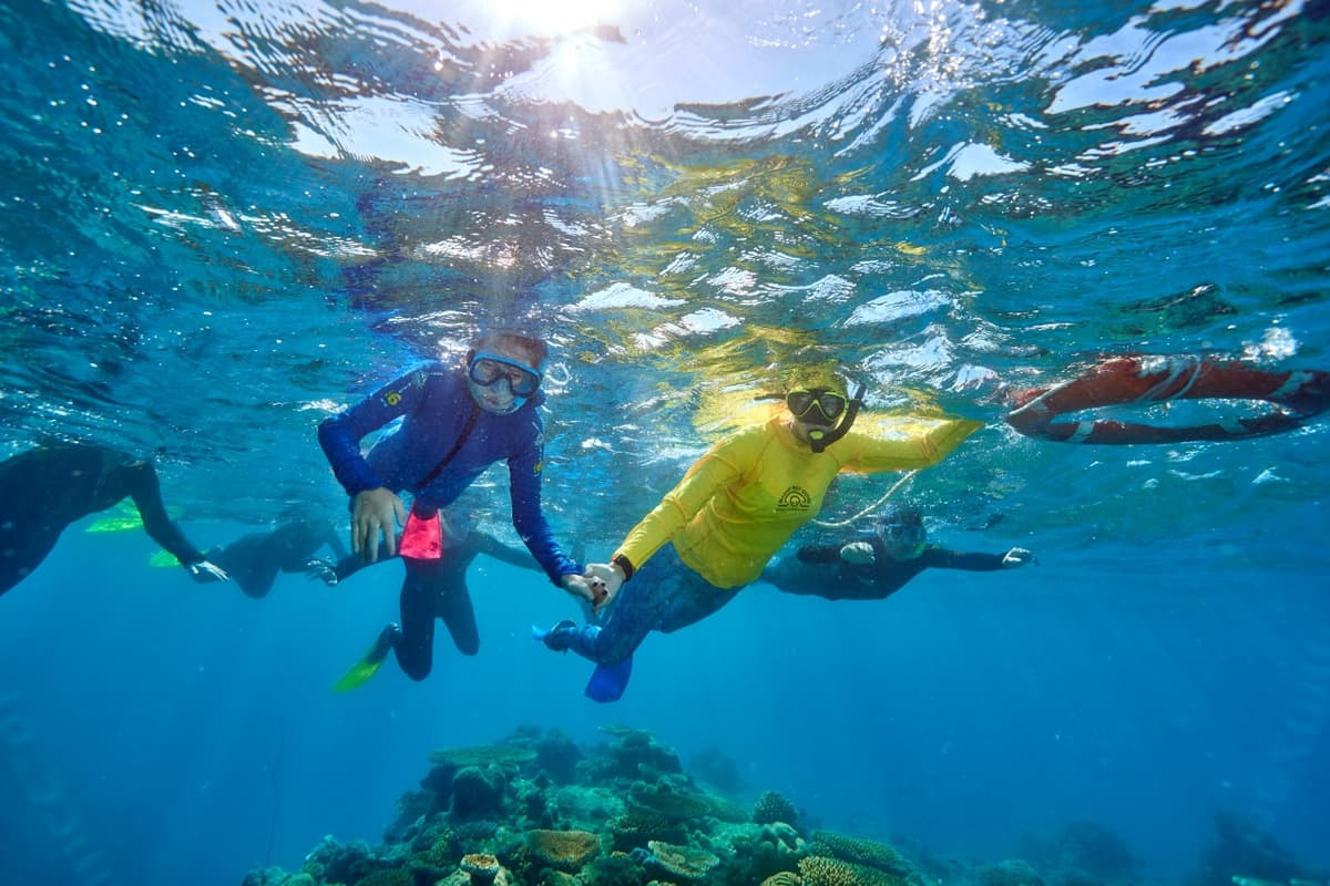 Green Island Reef Full-Day Cruise