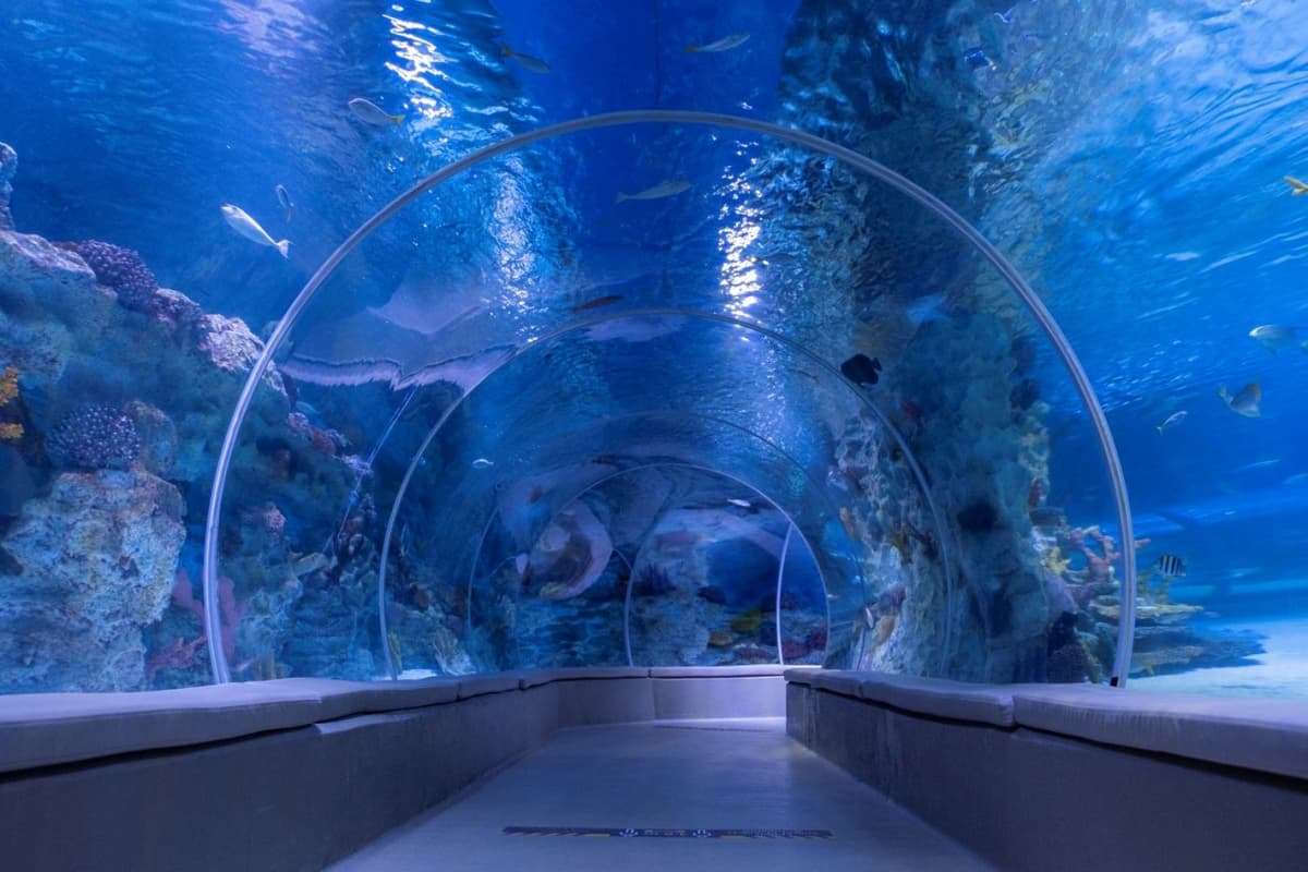 Emaar Aquarium and Underwater Zoo Ticket