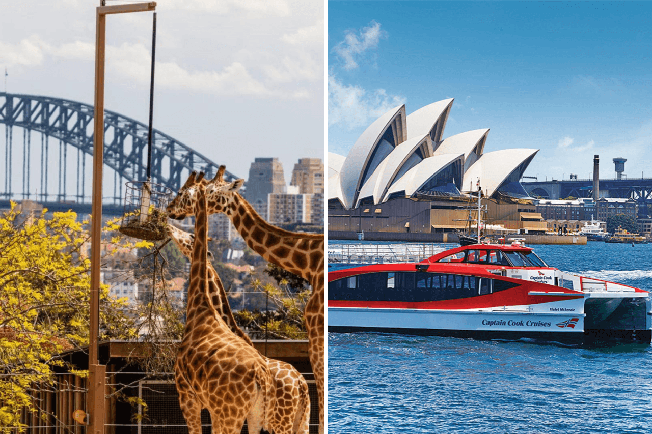 Taronga Zoo Ticket with Optional Round Trip Ferry