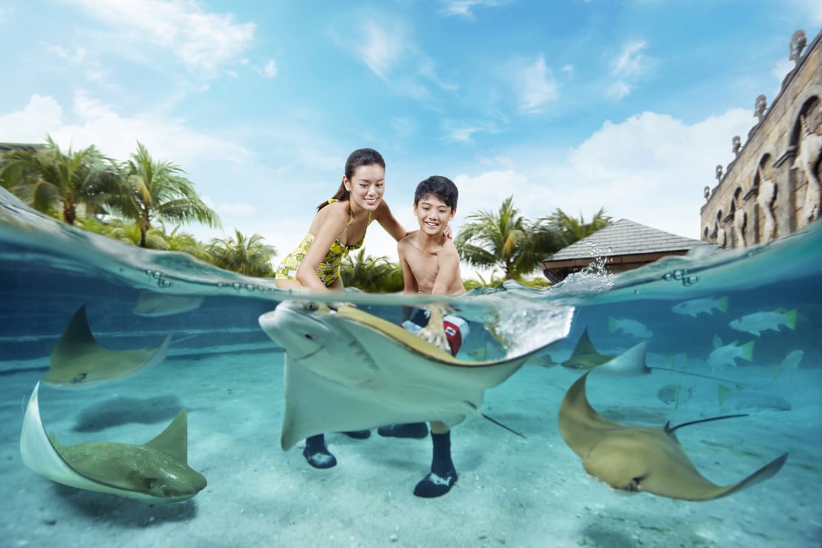 Adventure Cove Waterpark Express Pass