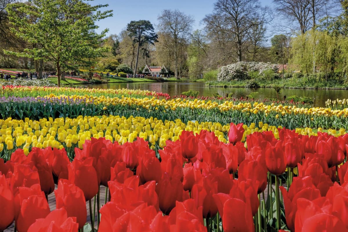 Keukenhof Gardens Ticket with Round Trip Bus Transfer from Amsterdam