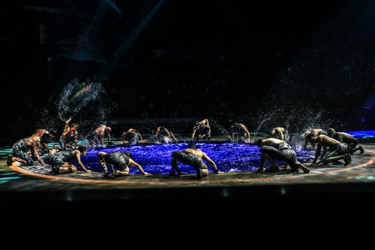 La Perle by Dragone Show Ticket