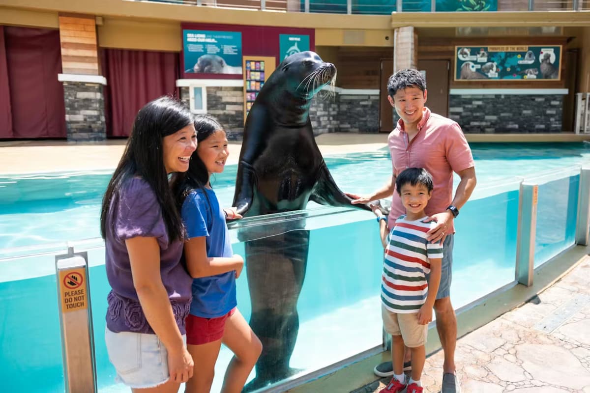 SeaWorld Orlando Ticket: Direct Entry + Optional All-Day Dining Deal + Multi-Park Discount Ticket