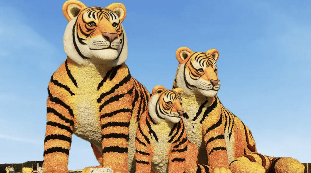 Dubai Garden Glow Ticket: Dinosaur Park and Fantasy Park