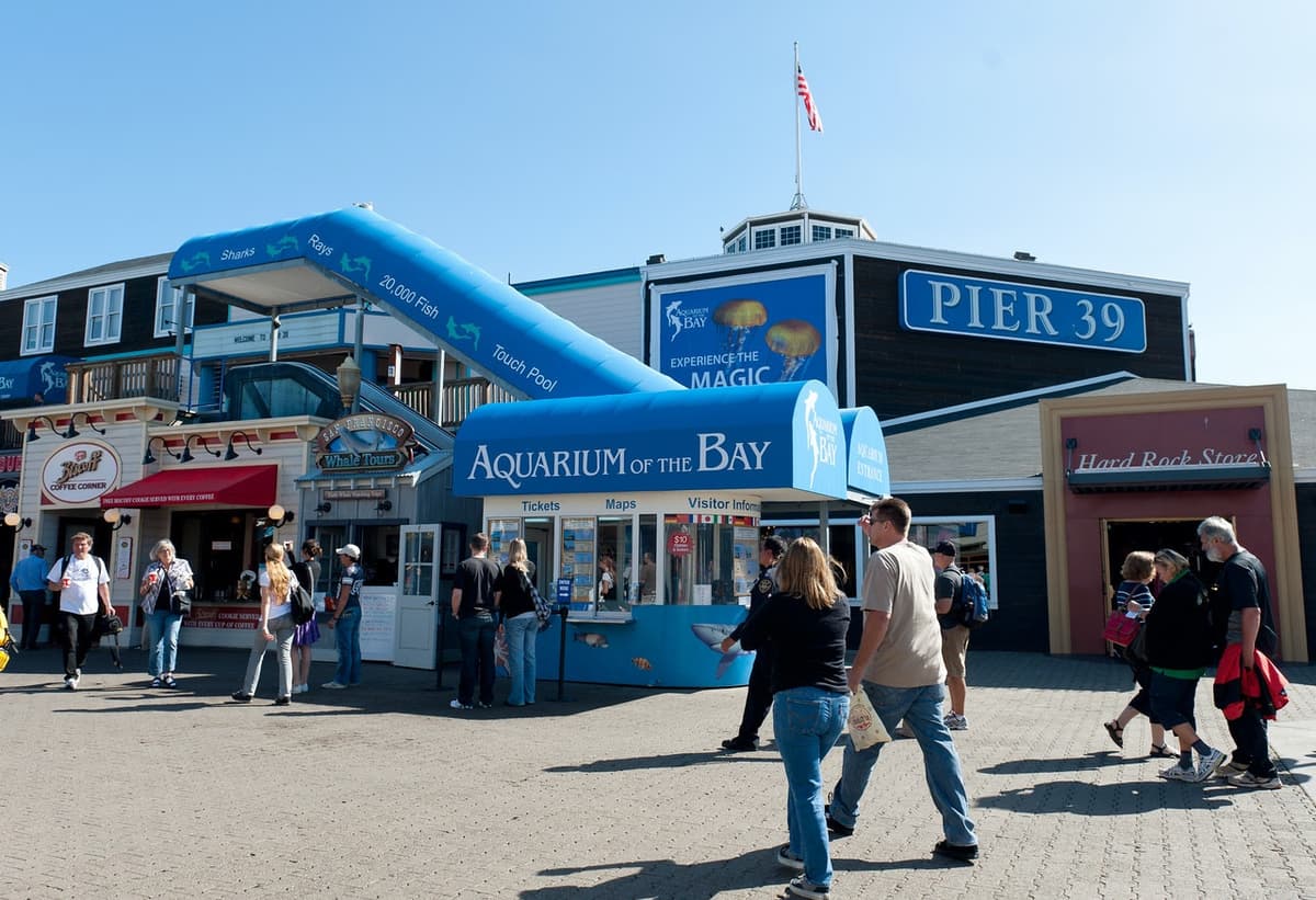 Aquarium of the Bay Ticket