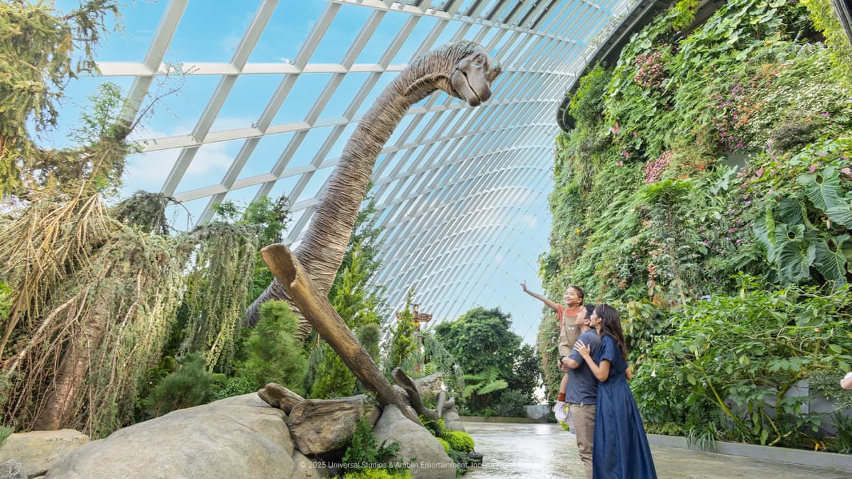 COMBO: Singapore Cable Car + Gardens by the Bay Ticket