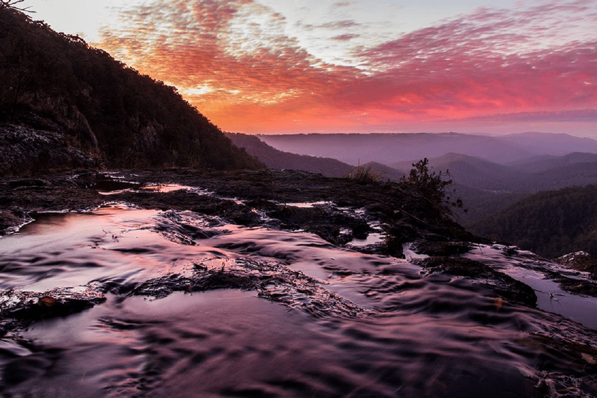 Springbrook National Park Night Tour