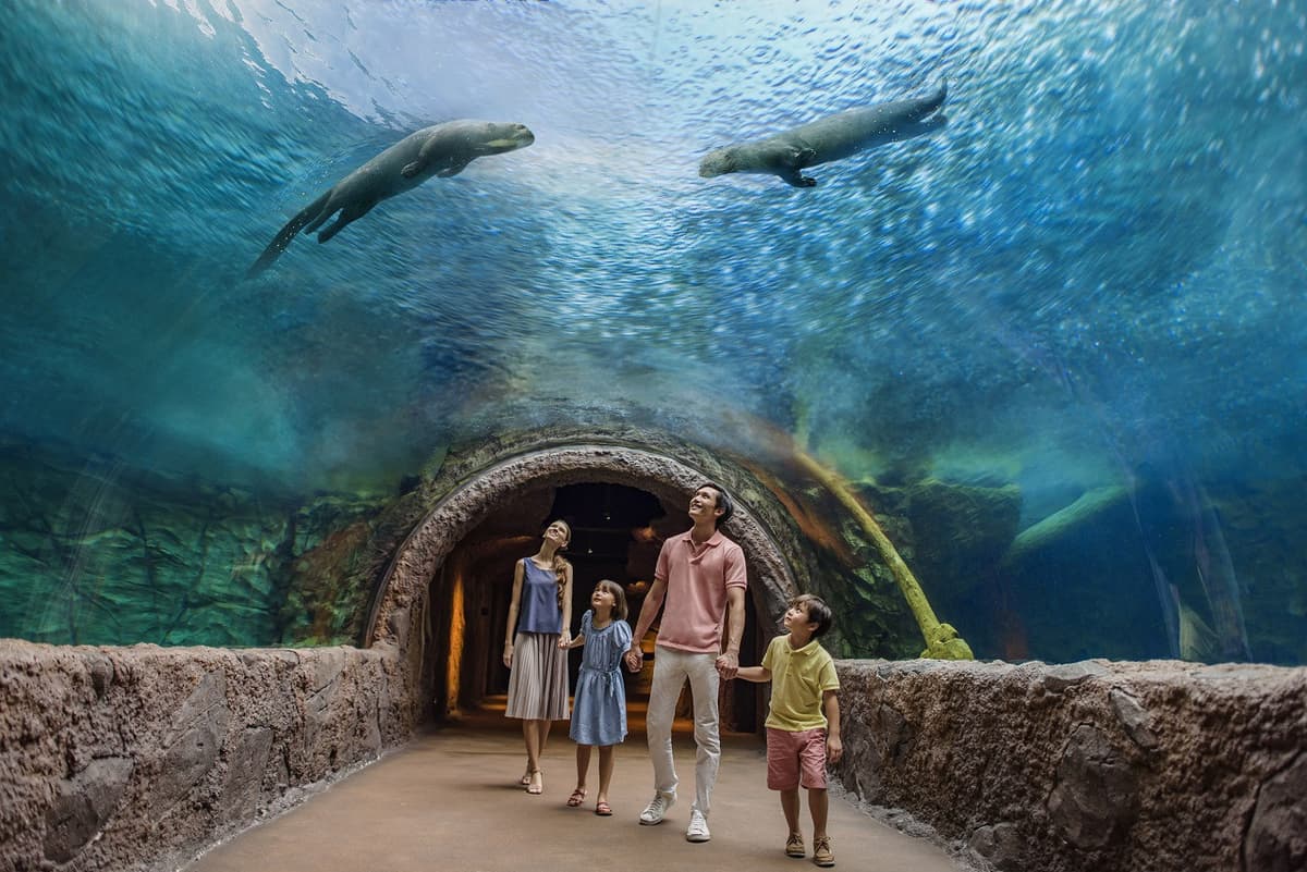 2-Park Destination Pass: Singapore Night Safari + River Wonders Tickets