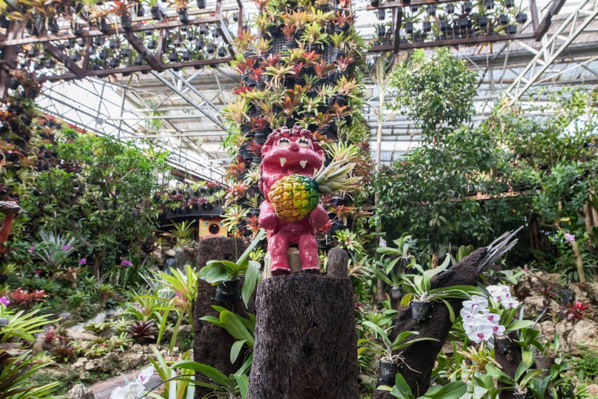 Okinawa Nago Pineapple Park
