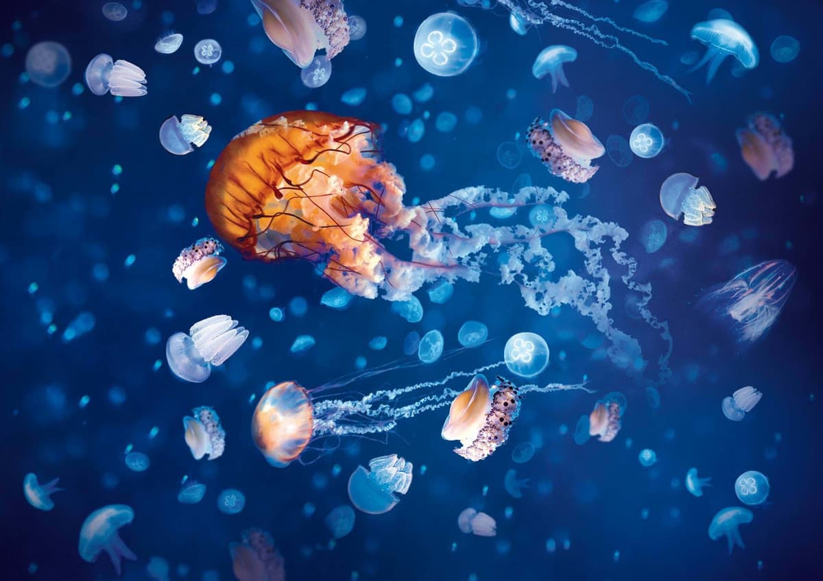 SEA LIFE London Aquarium Ticket