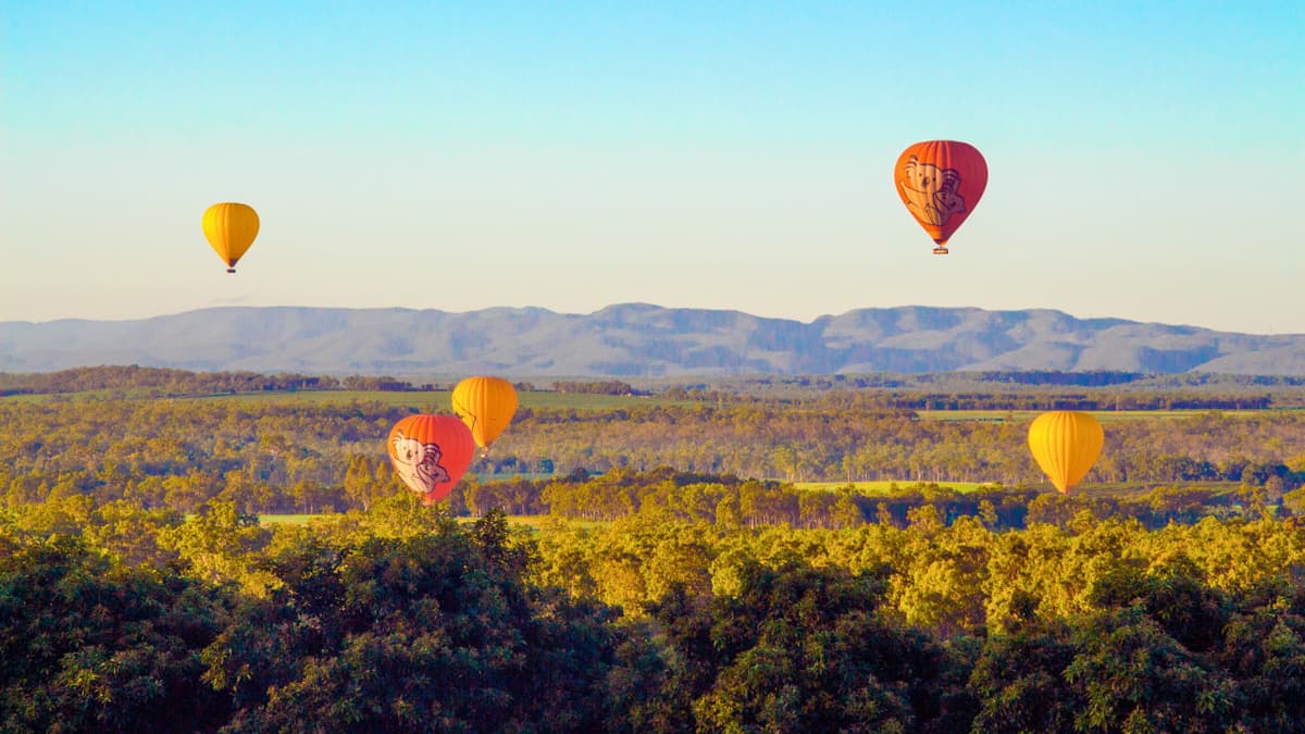 Sunrise Hot Air Balloon Flight near Cairns with Sparkling Wine and Optional Round Trip Transfer