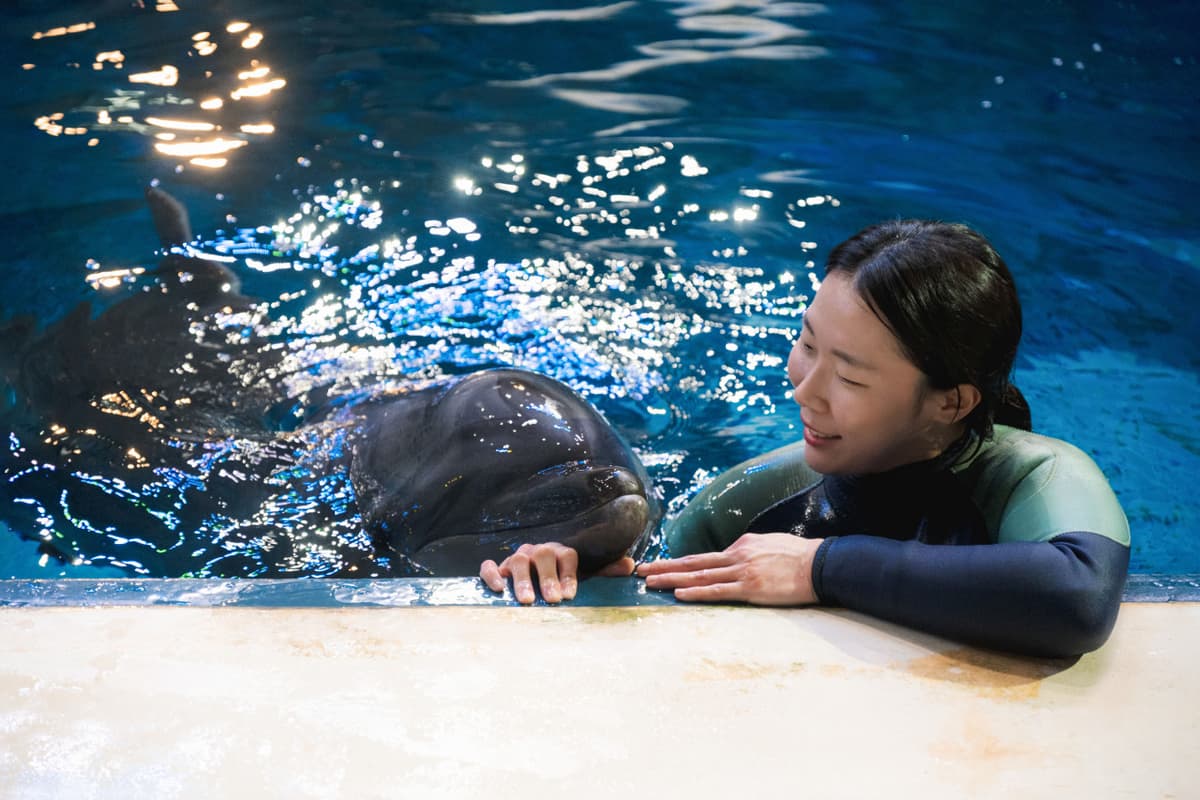 Aqua Planet Jeju Aquarium Ticket