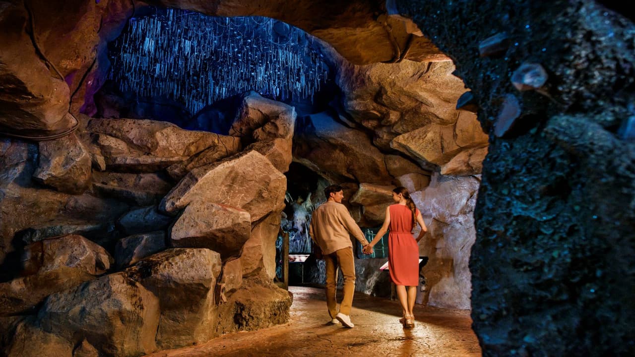 2-Park Destination Pass: Singapore Night Safari + Rainforest Wild Adventure Tickets