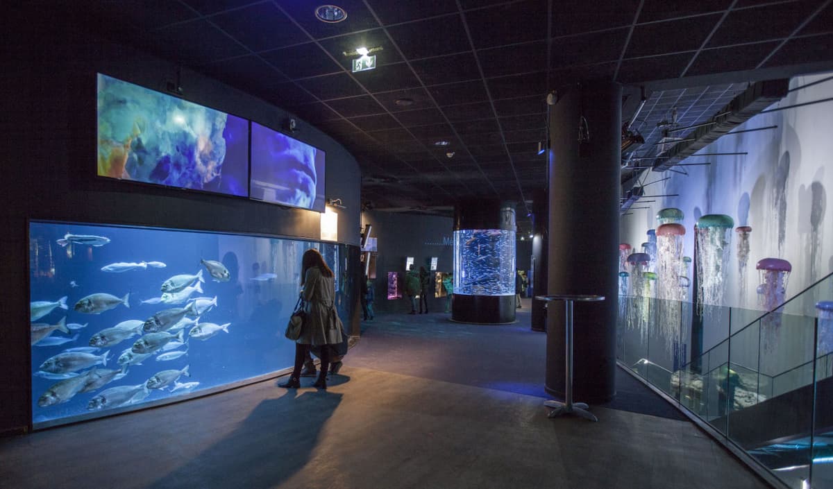 Aquarium de Paris