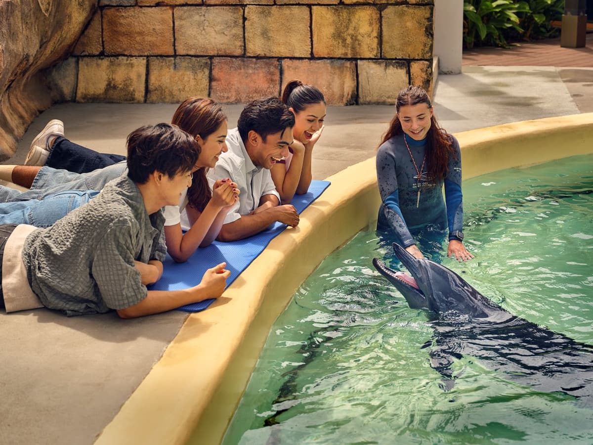 COMBO: Universal Studios Singapore + Singapore Oceanarium + Adventure Cove Waterpark Tickets