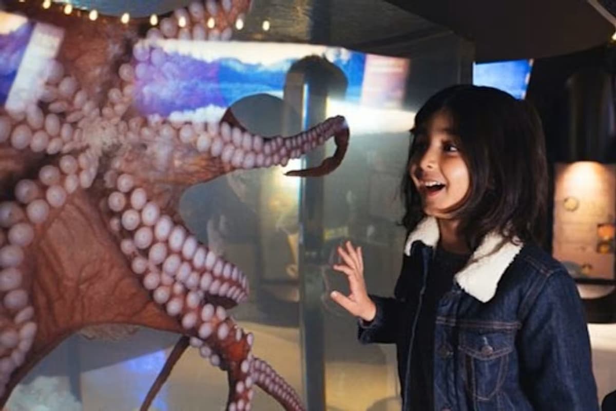 Vancouver Aquarium Ticket